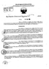 Vista preliminar de documento RDR 7771-2024