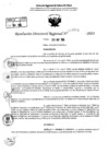 Vista preliminar de documento RDR 7777-2024