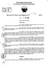 Vista preliminar de documento RDR 7876-2024