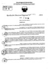 Vista preliminar de documento RDR 7879-2024