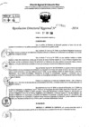 Vista preliminar de documento RDR 7880-2024