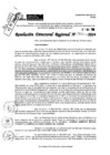 Vista preliminar de documento RDR 7885-2024