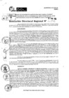 Vista preliminar de documento RDR 7791-2024