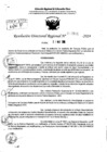 Vista preliminar de documento RDR 7801-2024