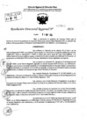 Vista preliminar de documento RDR 7802-2024