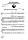 Vista preliminar de documento RDR 7803-2024