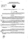 Vista preliminar de documento RDR 7805-2024