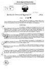 Vista preliminar de documento RDR 7807-2024