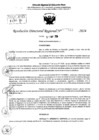 Vista preliminar de documento RDR 7812-2024