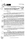 Vista preliminar de documento RDR 7815-2024