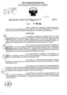 Vista preliminar de documento RDR 7818-2024