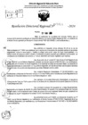 Vista preliminar de documento RDR 7824-2024