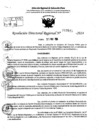 Vista preliminar de documento RDR 7845-2024