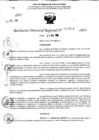Vista preliminar de documento RDR 7854-2024