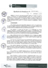 Vista preliminar de documento Resolución 029-2019-IPD/P