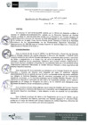 Vista preliminar de documento Resolución 047-2019-IPD/P