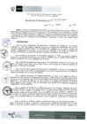 Vista preliminar de documento Resolución 101-2019-IPD/P