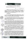 Vista preliminar de documento Resolución 111-2019-IPD/P