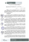 Vista preliminar de documento Resolución 063-2019-IPD/P - DISEDE: Encargatura