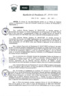 Vista preliminar de documento Resolución 205-2017-IPD/P