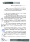 Vista preliminar de documento Resolución 267-2017-IPD/P