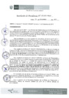 Vista preliminar de documento Resolución 293-2017-IPD/P