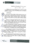 Vista preliminar de documento Resolución 301-2017-IPD/P