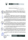 Vista preliminar de documento Resolución 307-2017-IPD/P