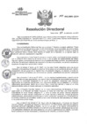 Vista preliminar de documento R.D. N° 157-DG-HHV-2024
