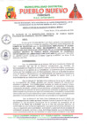 Vista preliminar de documento R.A N° 218-2024-A-MDPN-F