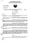 Vista preliminar de documento RDR 7455-2024