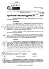 Vista preliminar de documento RDR 7456-2024