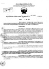 Vista preliminar de documento RDR 7461-2024