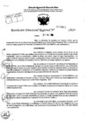 Vista preliminar de documento RDR 7463-2024