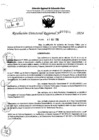 Vista preliminar de documento RDR 7466-2024