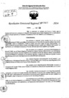 Vista preliminar de documento RDR 7467-2024