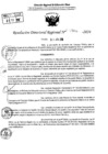Vista preliminar de documento RDR 7900-2024