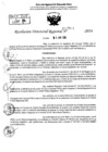 Vista preliminar de documento RDR 7901-2024