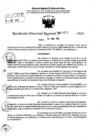 Vista preliminar de documento RDR 7475-2024
