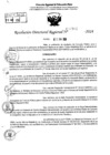 Vista preliminar de documento RDR 7902-2024