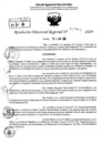 Vista preliminar de documento RDR 7904-2024