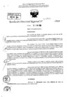 Vista preliminar de documento RDR 7905-2024