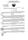 Vista preliminar de documento RDR 7907-2024