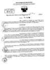 Vista preliminar de documento RDR 7909-2024