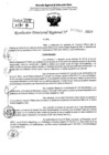 Vista preliminar de documento RDR 7910-2024