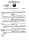 Vista preliminar de documento RDR 7913-2024