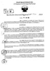 Vista preliminar de documento RDR 7916-2024