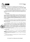 Vista preliminar de documento RDR 7941-2024