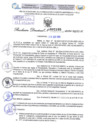 Vista preliminar de documento Resolución Directoral. N° 2195 - 2024 
