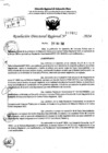 Vista preliminar de documento RDR 7482-2024